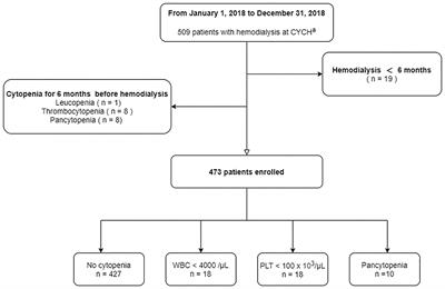 Older Age and High Serum Ferritin Levels Associated With the Risk of Chronic Cytopenia in Hemodialysis Patients